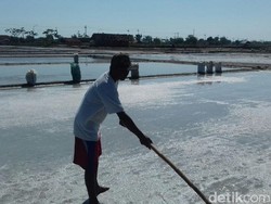 Ini Kata Petani Garam di Rembang Soal Kebijakan Impor oleh Pemerintah