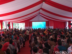 Curhat Penerima Kalpataru yang Rumahnya Ditimpa Pohon ke Jokowi