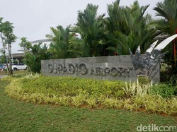 Syarat Perjalanan Pontianak yang Beda-Penemuan Kerangka Dinosaurus Tak Biasa