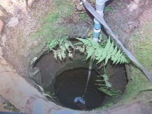 Ini Motif Pembunuhan Remaja Perempuan Dalam Sumur di Cililin