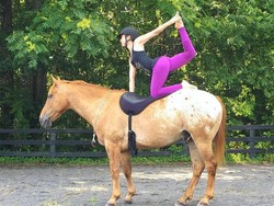 Traveling Sambil Yoga Itu Wajar, Tapi Kalau di Atas Punggung Kuda?