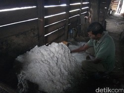 Garam di Aceh Rp 7.000/Kg Tertinggi dalam 25 Tahun, Petani: Kami Senang