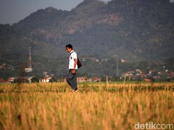 Kenapa Bandung Panas Banget Akhir-akhir Ini? Begini Penjelasan BMKG