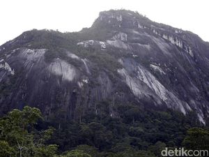 Misteri Batu Raksasa di Kalimantan Misteri Batu Raksasa di Kalimantan