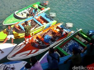 Begini Caranya Agar Harga Jual Ikan Tuna Ekspor Makin Tinggi Begini Caranya Agar Harga Jual Ikan Tuna Ekspor Makin Tinggi