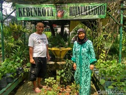 Kampung Hijau di Kebon Kosong Ternyata Berawal dari Bau Sampah