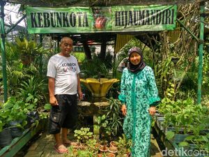 Kampung Hijau di Kebon Kosong Ternyata Berawal dari Bau Sampah Kampung Hijau di Kebon Kosong Ternyata Berawal dari Bau Sampah