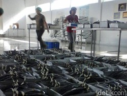 1 Docking dan 3 Freezer Raksasa Perum Perindo Mulai Operasi