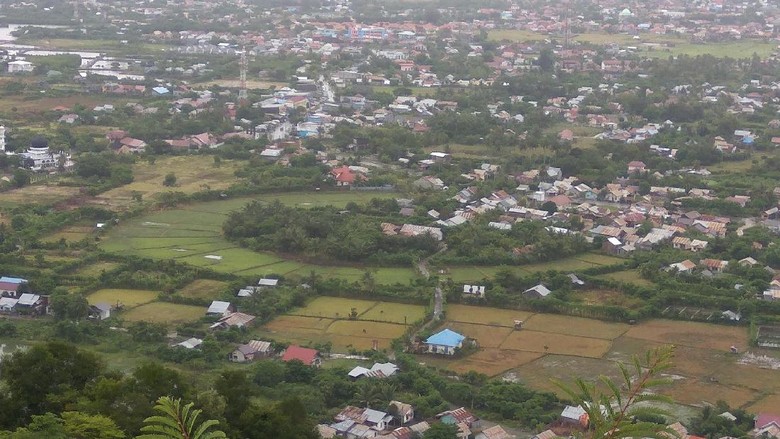 Foto: Lanskap Kota Banda Aceh dilihat dari Bukit Goh Cut (Agus Setyadi/detikTravel)