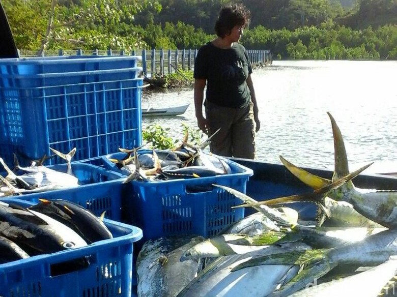 RI Siap Rebut Pasar Ekspor Ikan ke Uni Eropa dan AS dari Vietnam