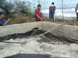 Melihat Bak Tempat Produksi Garam yang Mangkrak di Bantul