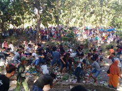 Meriahnya Perang Nasi, Ritual Syukuran Panen Padi di Ngawi