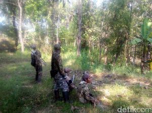 Pakar UGM: Tembak Mati Monyet di Boyolali Tak Selesaikan Masalah Pakar UGM: Tembak Mati Monyet di Boyolali Tak Selesaikan Masalah