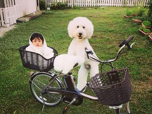 Gemes Banget! Bayi dan Anjing Ini Sering Pakai Baju Kembar