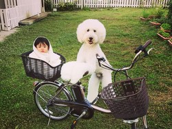 Gemes Banget! Bayi dan Anjing Ini Sering Pakai Baju Kembar