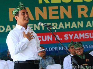 Mentan Ajak Petani Tanam Padi Hingga 1 Juta Ha