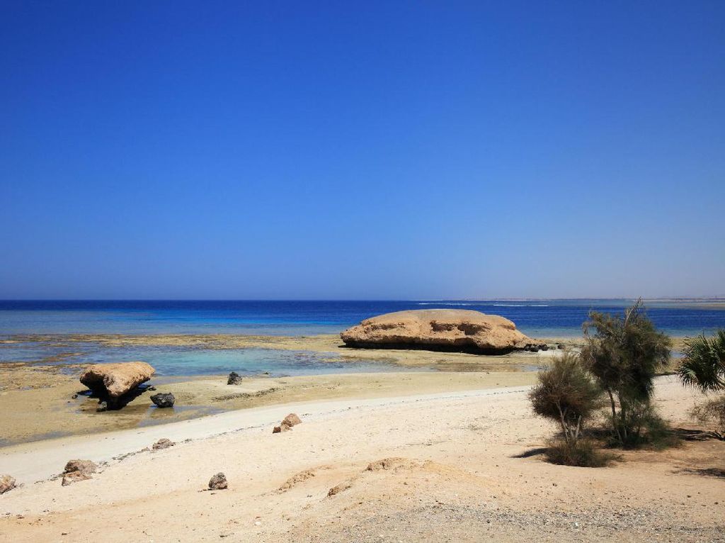 Arab Saudi: Dari Bebas Bikini Sampai Visa Turis Arab Saudi: Dari Bebas Bikini Sampai Visa Turis