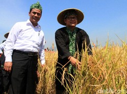 Modernisasi Pertanian, Cara Mentan Tekan Biaya Produksi Pangan