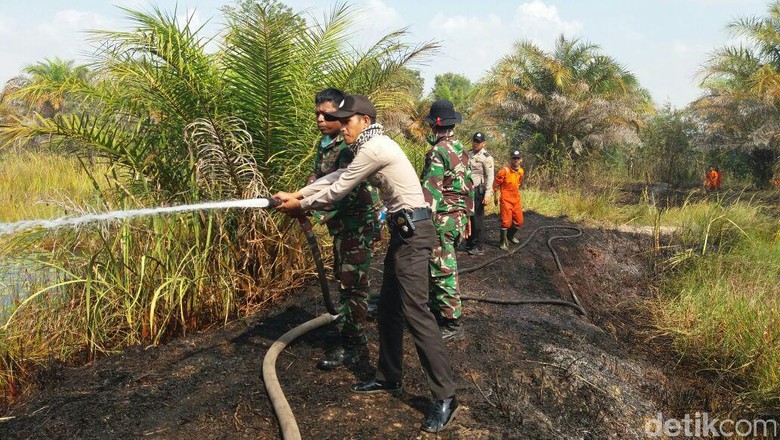 Kebakaran Lahan di Sumsel Mulai Ganggu Jarak Pandang Warga