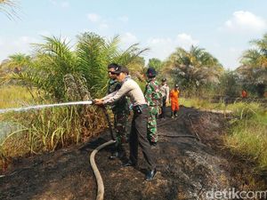 Kebakaran Lahan di Sumsel Mulai Ganggu Jarak Pandang Warga