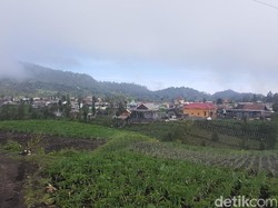 Terletak di Kaki Semeru, Begini Indahnya Desa Ranupani