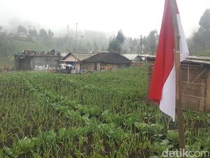 Masuk Area Taman Nasional, Desa Ranupani Akan Dijaga dan Diawasi