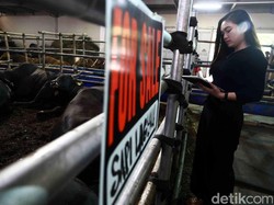 Video Senyum Manis SPG di Mal Hewan Kurban Depok