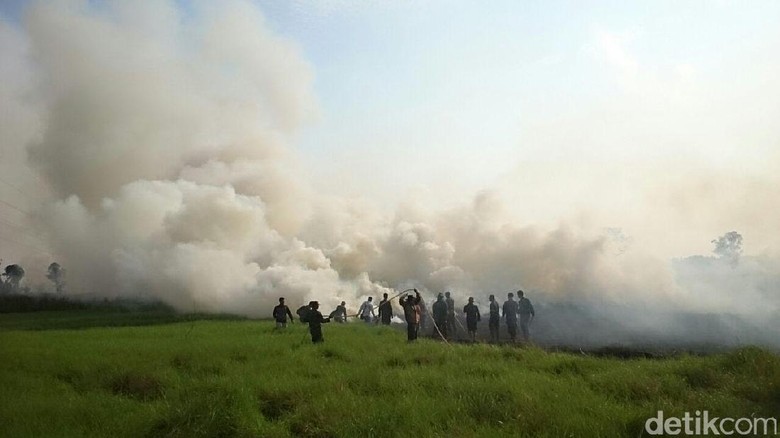 120 Hektare Lahan Terbakar di Ogan Ilir, Kabut Asap Ganggu Warga