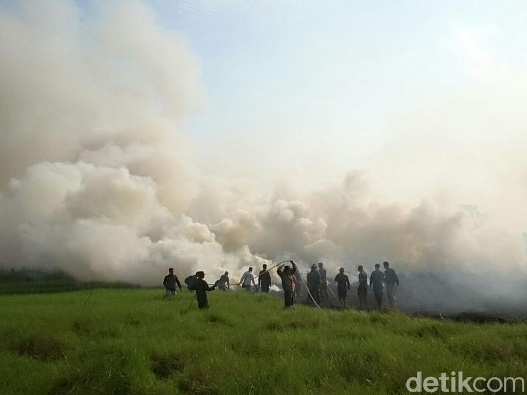 120 Hektare Lahan Terbakar di Ogan Ilir, Kabut Asap Ganggu Warga