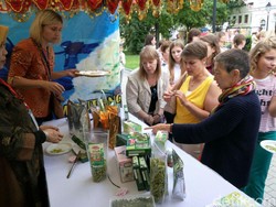 Khasiatnya Mendunia, Teh dan Pia Kelor Diminati Warga Rusia