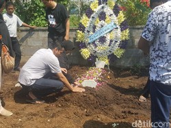 Pitbull Gigit Ramiza, Polisi akan Datangkan Dokter Hewan