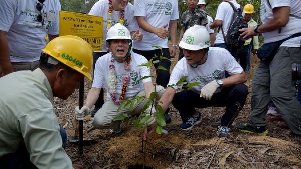 Penanaman 10 Ribu Pohon di Palalawan Riau