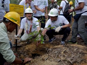 Penanaman 10 Ribu Pohon di Palalawan Riau