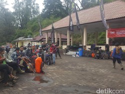 Ada Jejak Macan Tutul di Gunung Semeru