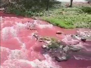 Geger Sungai Bah Bolon di Sumut Berubah Jadi Merah