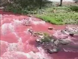 Geger Sungai Bah Bolon di Sumut Berubah Jadi Merah