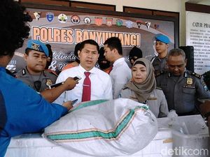 Sindikat Penyelundupan Ribuan Bayi Lobster Digulung Sindikat Penyelundupan Ribuan Bayi Lobster Digulung