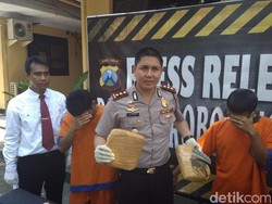 Penyelundupan Ganja 1,6 Kg dan Sabu dari Jakarta Digagalkan