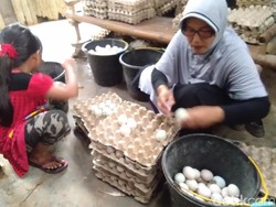 Garam Langka dan Mahal, Pengusaha Telur Asin di Aceh Menjerit