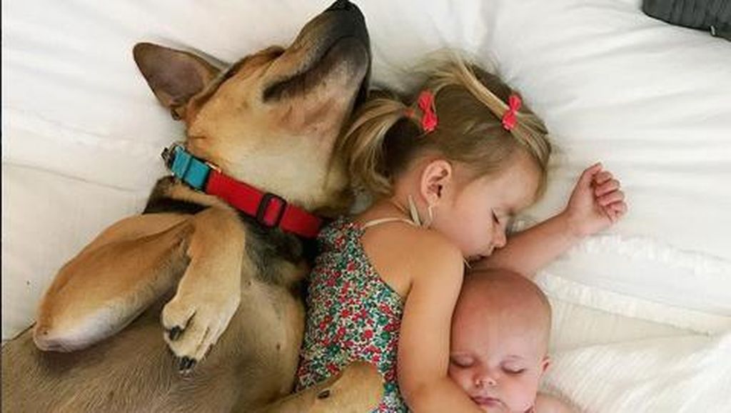 Foto: Tingkah Menggemaskan si Kecil dengan Hewan Peliharaannya Foto: Tingkah Menggemaskan si Kecil dengan Hewan Peliharaannya