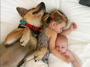 Foto: Tingkah Menggemaskan si Kecil dengan Hewan Peliharaannya