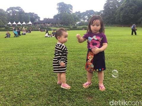 Perkembangan Anak Usia 3 Tahun Seperti Putri Charlotte/