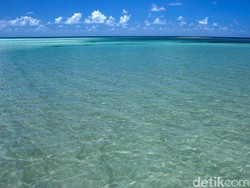 Alam Bisa Bantu Manusia Atasi Kesepian, Begini Studinya