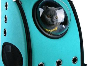 Tren Traveling Baru, Bawa Peliharaan di Dalam Tas Tren Traveling Baru, Bawa Peliharaan di Dalam Tas