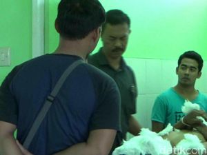 DPO Pencurian Hewan Ternak Ditembak Mati