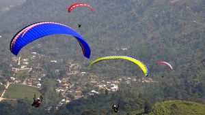 Para Pilot Paralayang Unjuk Ketangkasan