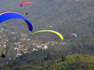 Para Pilot Paralayang Unjuk Ketangkasan