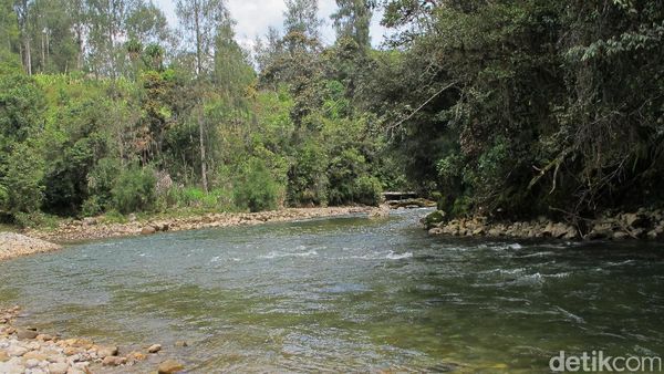 Foto: Sungai Es Tak Tersentuh di Papua