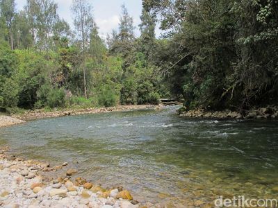 Foto: Sungai Es Tak Tersentuh di Papua