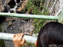 Sampah Pengunjung Teras Cikapundung Kotori Sungai